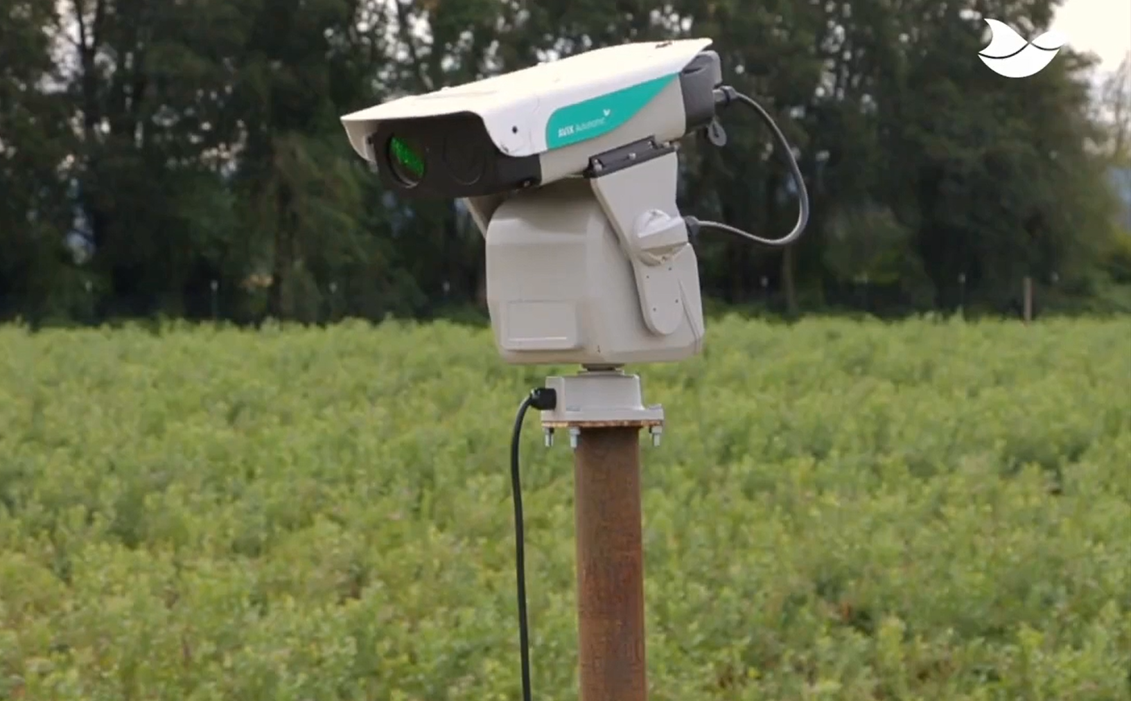 Screenshot 2024 06 21 105712